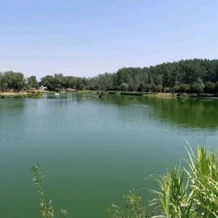La Casa Cosy Love, Avec Jacuzzi Et Sauna Prives Palau-del-Vidre المظهر الخارجي الصورة